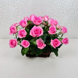 rozovyj-zakat-25-rozovykh-roz-akva-v-korzine